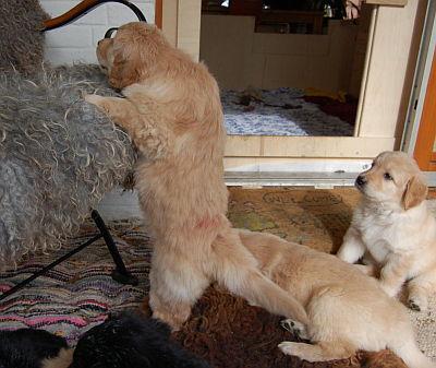 Moment, gleich hab ich es!