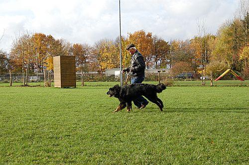 Bubi und Herrchen in Action