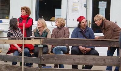 Das kritische Publikum