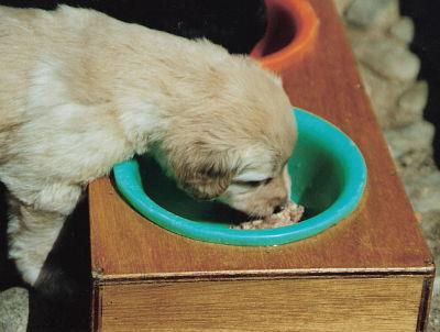 Schon lange nicht mehr gefressen